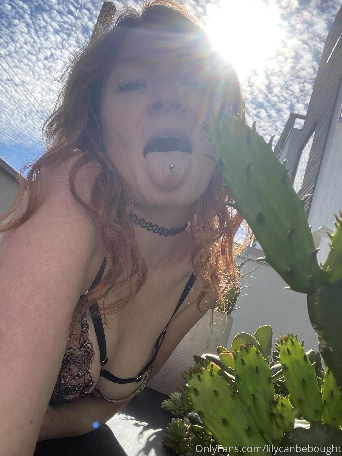 life_w_lilyana / lily_ana Nude OnlyFans Leaks 1