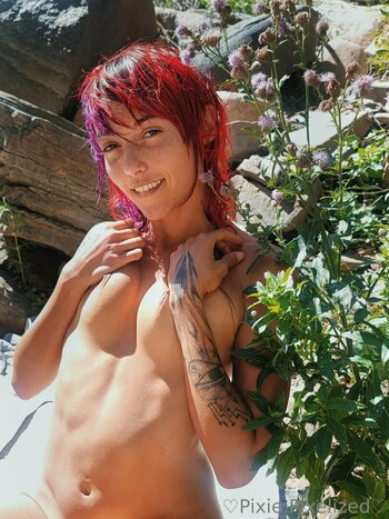 PixiePixelized Nude Leaks Photo 24